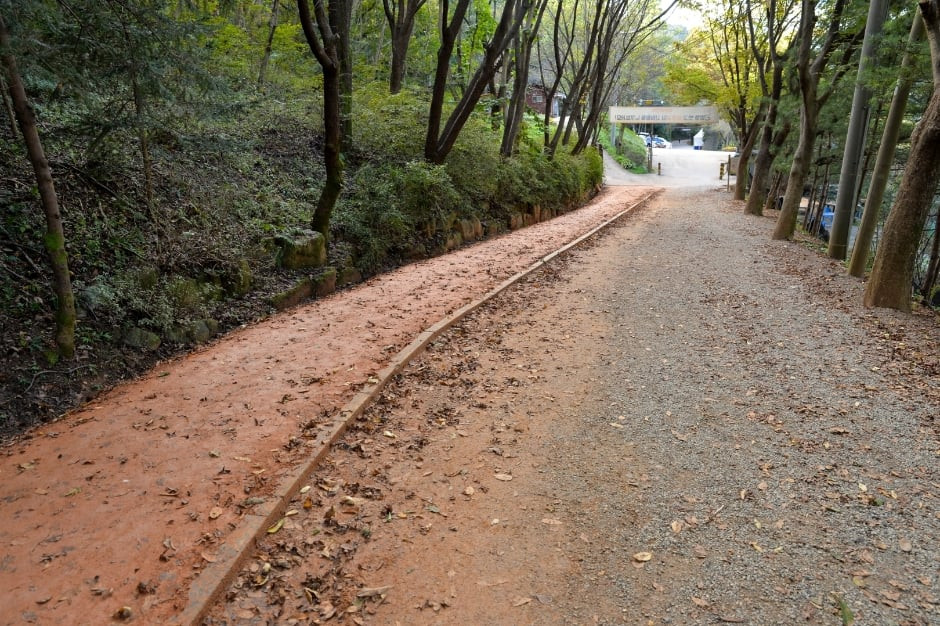 장동산림욕장 여행 추천 - 로드트립