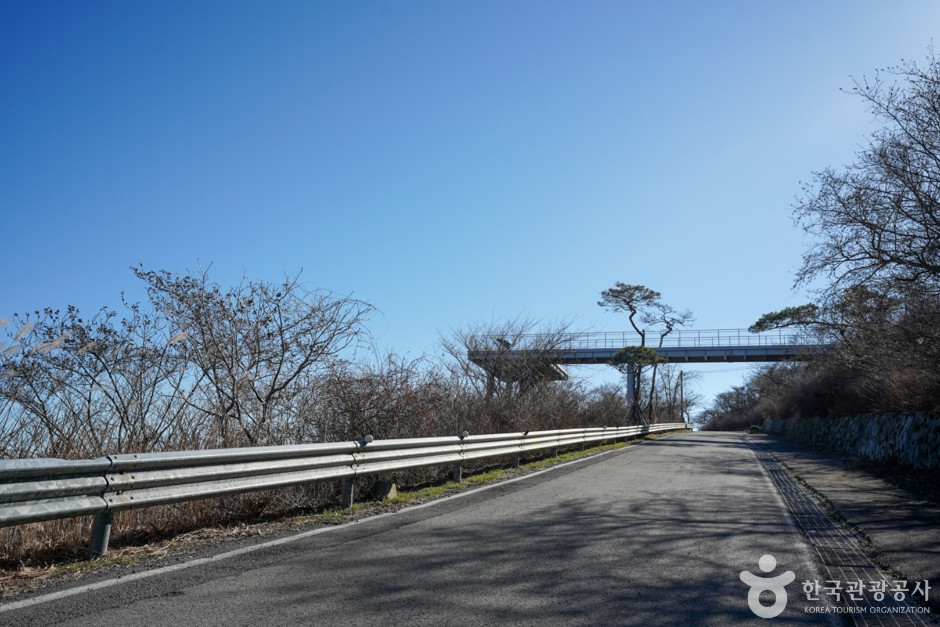금오산전망대 여행 추천 - 로드트립