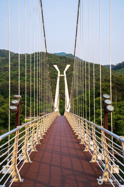 대황강출렁다리 여행 추천 - 로드트립