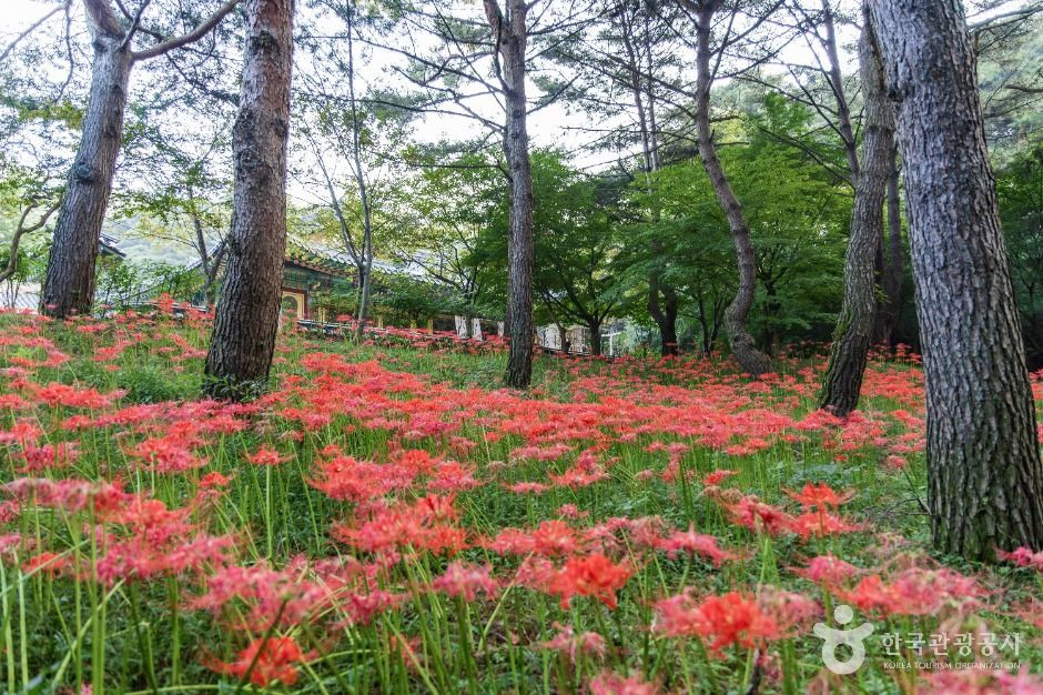 수덕사(예산) 여행 추천 - 로드트립