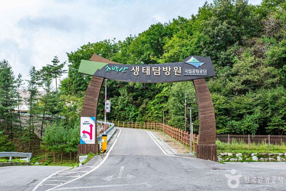 소백산 생태탐방원 여행 추천 - 로드트립