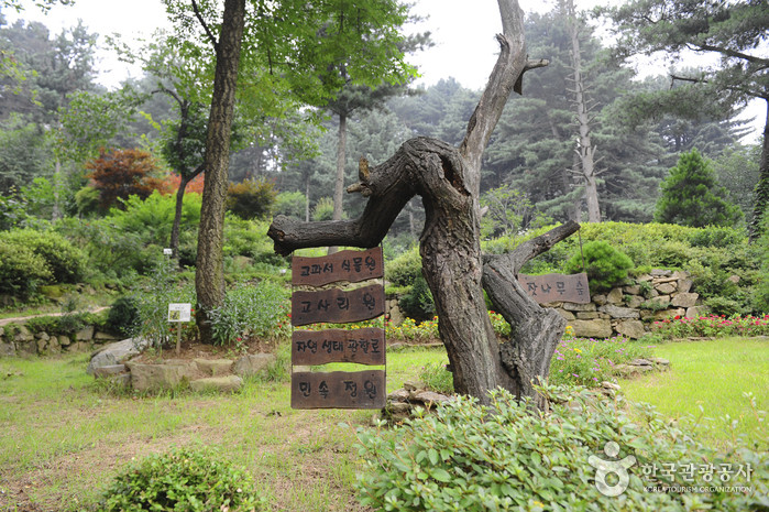 장흥자생수목원 여행 추천 - 로드트립