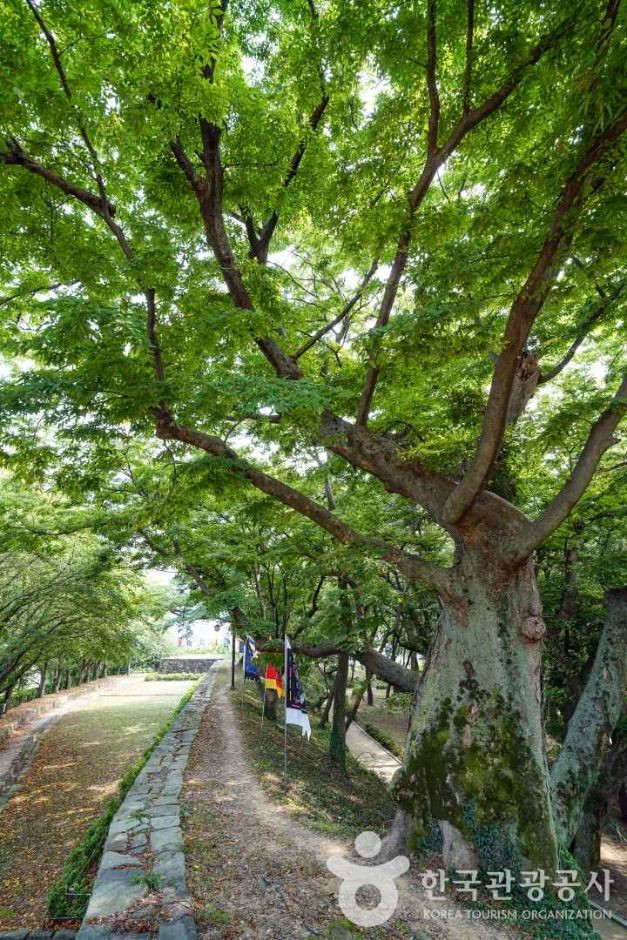 사천읍성 여행 추천 - 로드트립