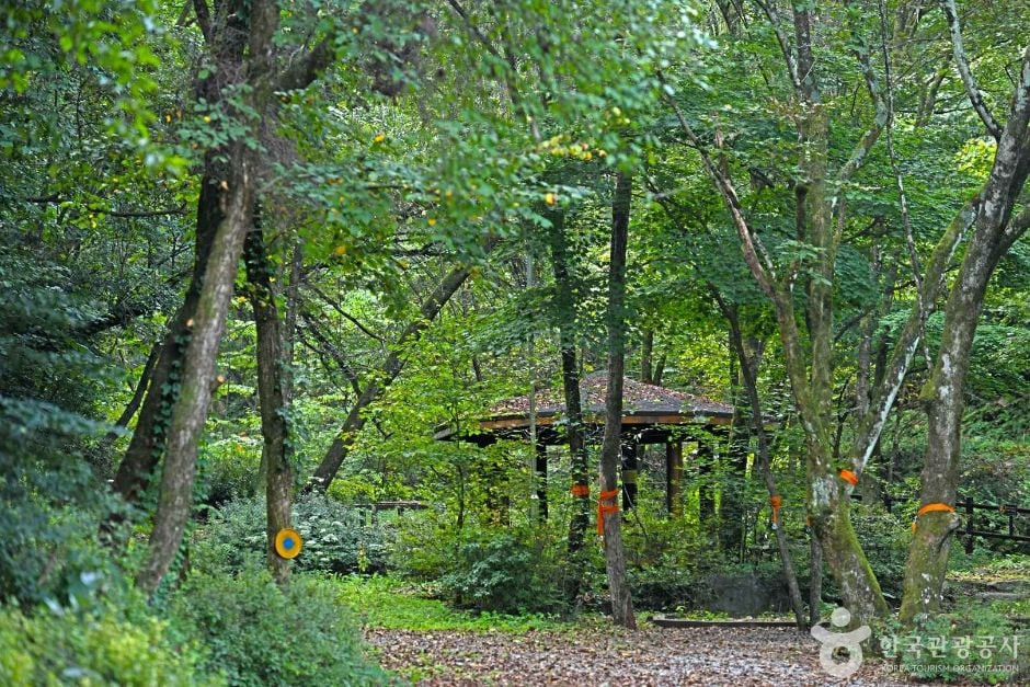 망경대산자연휴양림 여행 추천 - 로드트립