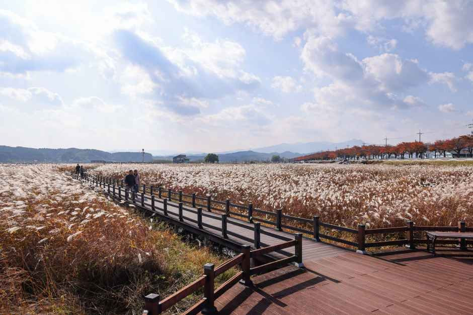 남대천연어생태공원 여행 추천 - 로드트립