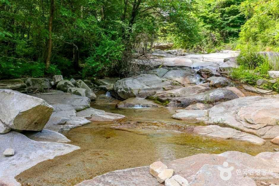 동산계곡 여행 추천 - 로드트립