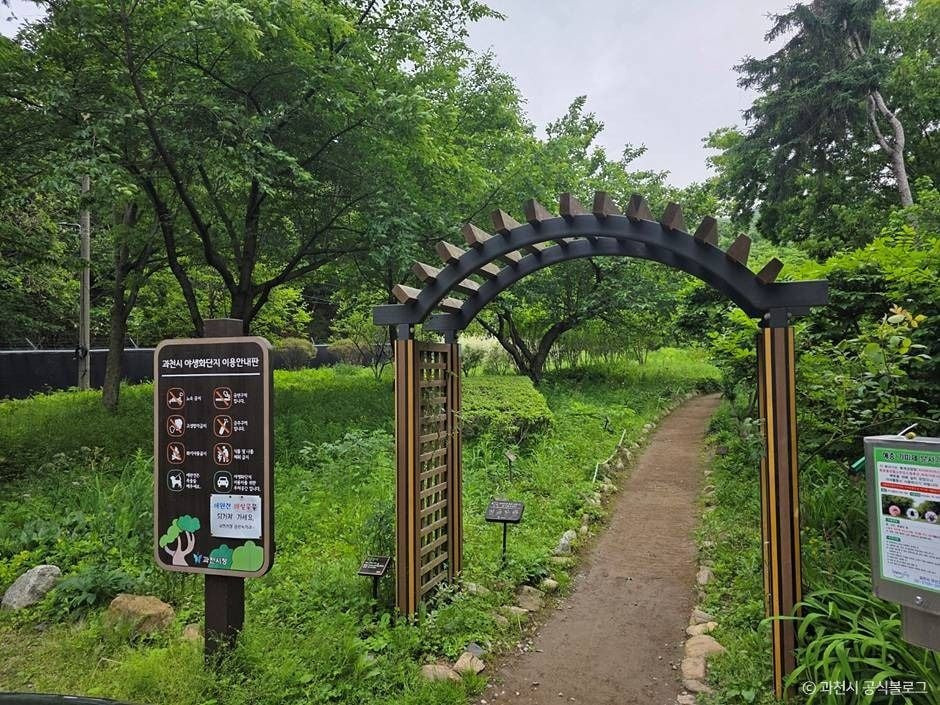 과천야생화자연학습장 여행 추천 - 로드트립