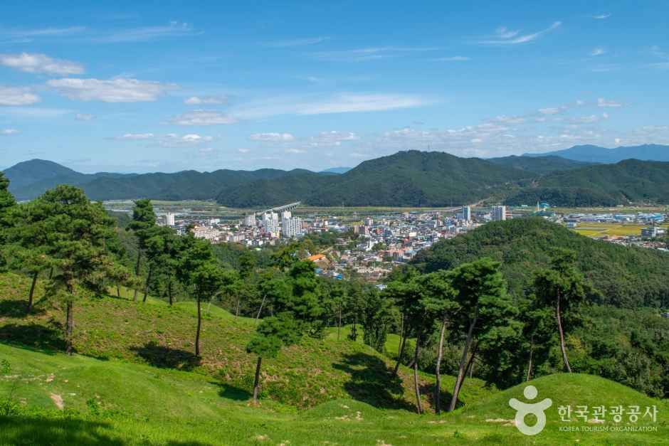 고령 지산동 고분군 여행 추천 - 로드트립