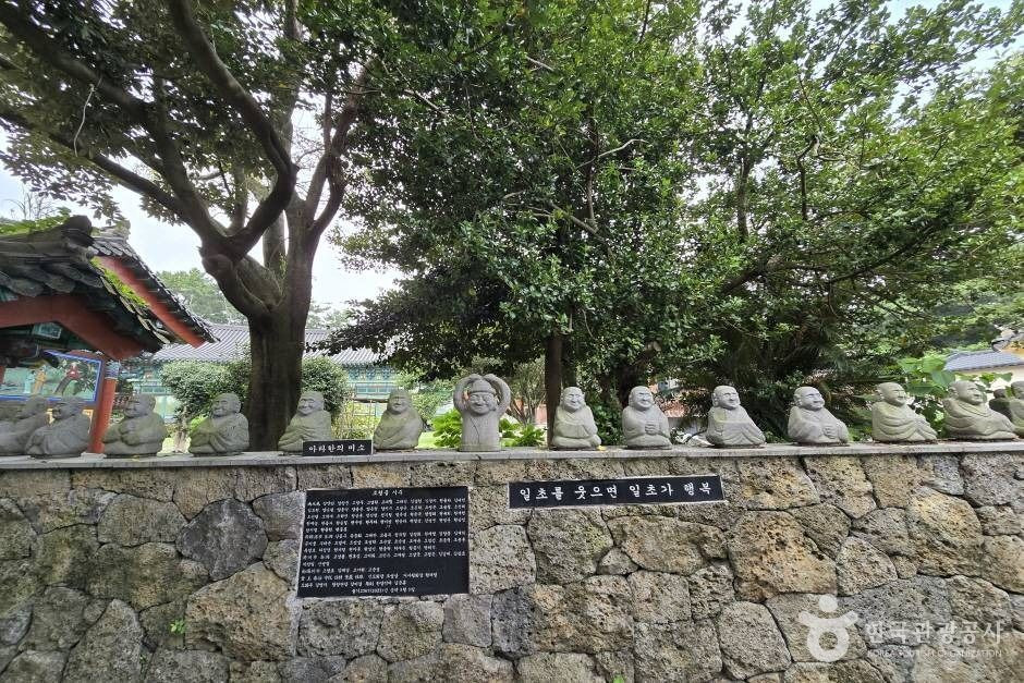 선광사(제주) 여행 추천 - 로드트립