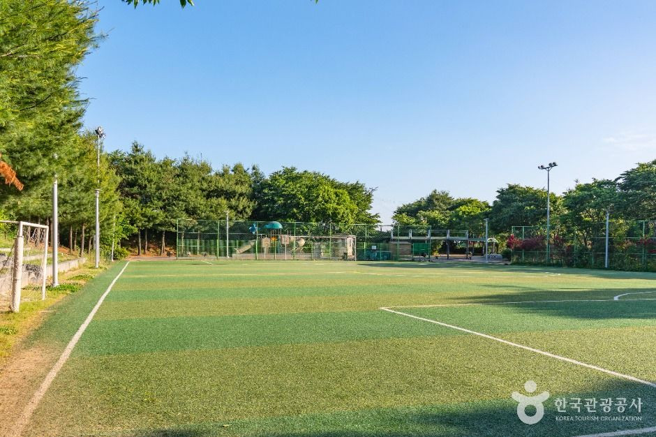 서탄금암체육공원 여행 추천 - 로드트립