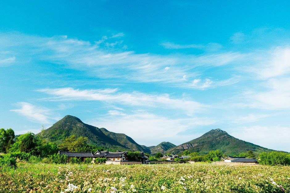 금성산·비봉산(의성) 여행 추천 - 로드트립