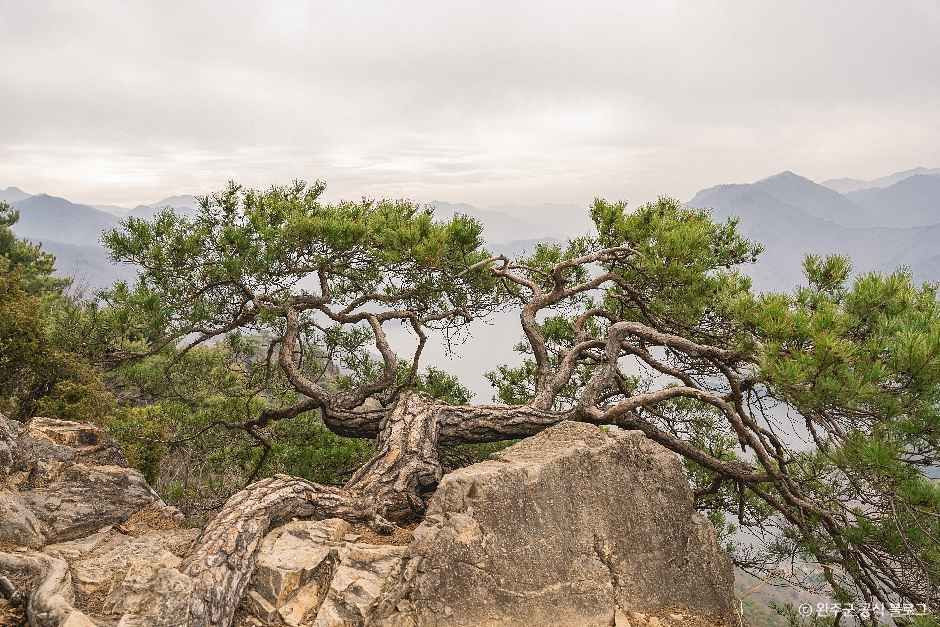 운암산(완주) 여행 추천 - 로드트립