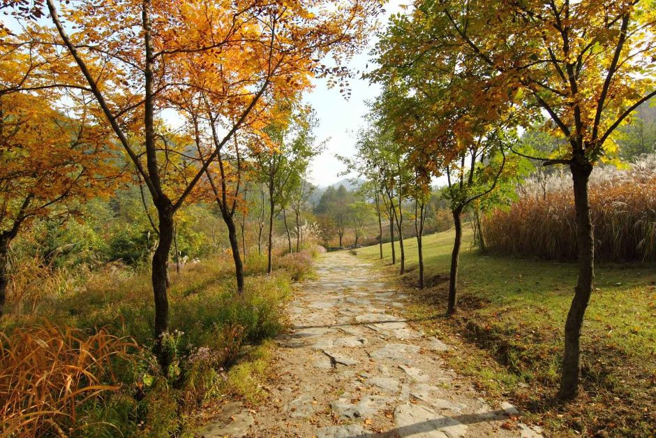 국립한국자생식물원 여행 추천 - 로드트립
