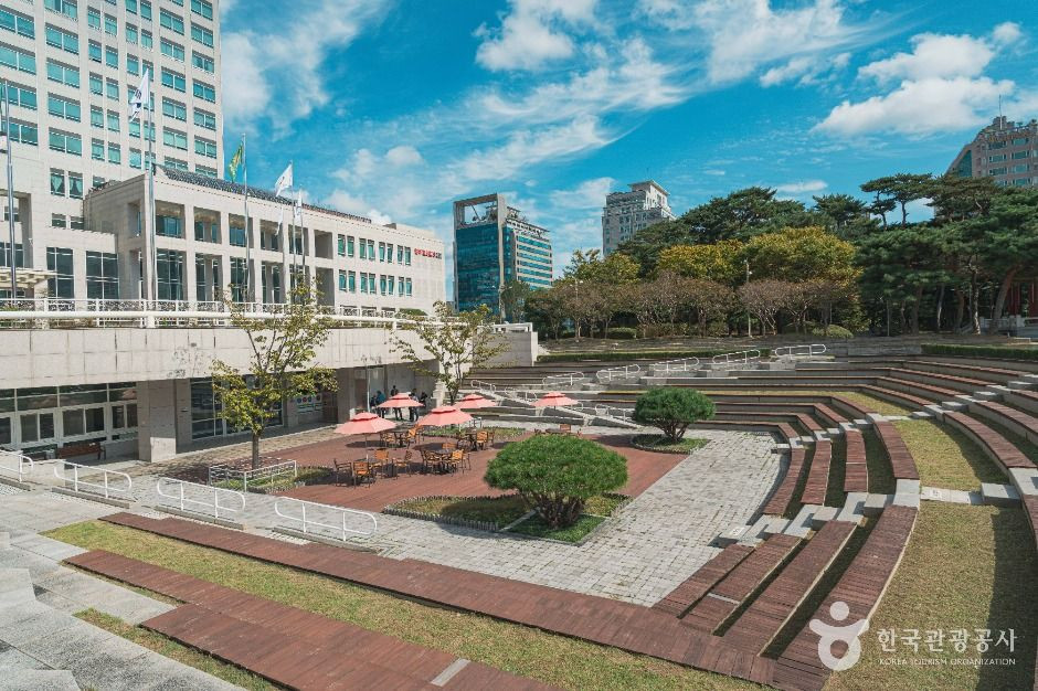 대전광역시청 시민잔디광장 여행 추천 - 로드트립