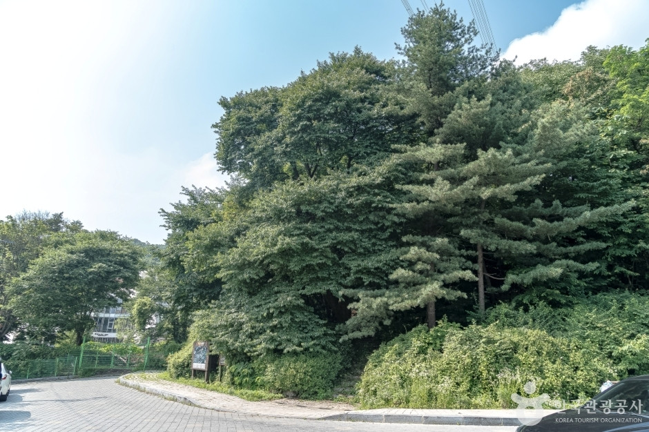 광교산체육공원 여행 추천 - 로드트립