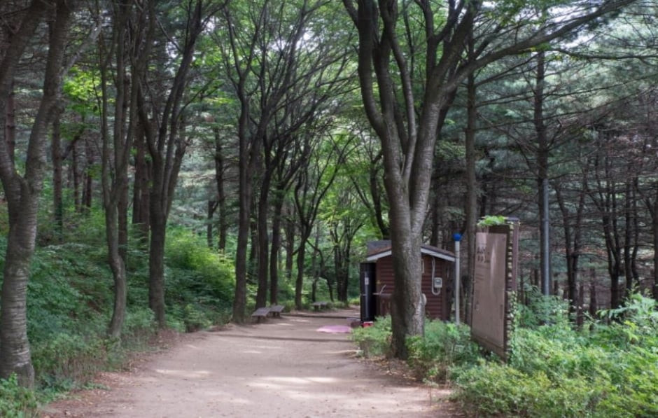 독산성산림욕장 여행 추천 - 로드트립