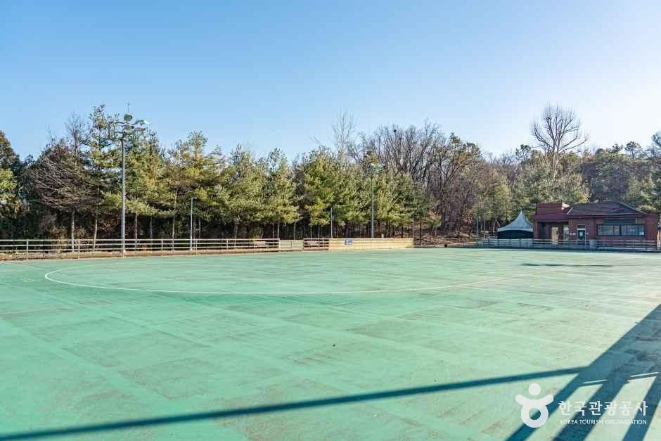 석수체육공원 여행 추천 - 로드트립