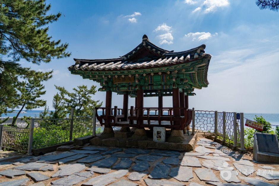천학정 여행 추천 - 로드트립