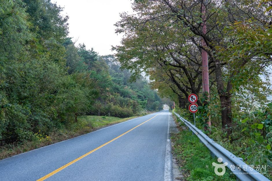 [청풍호자드락길 5코스] 옥순봉길 여행 추천 - 로드트립