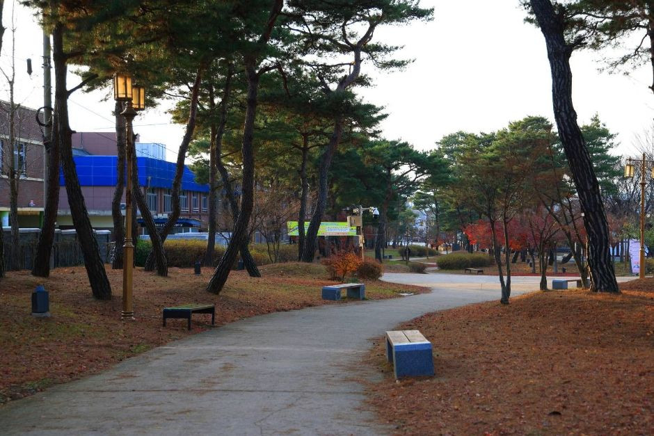 정림사지와 사비길 여행 추천 - 로드트립