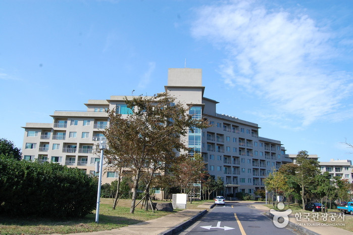 한화리조트 제주 여행 추천 - 로드트립