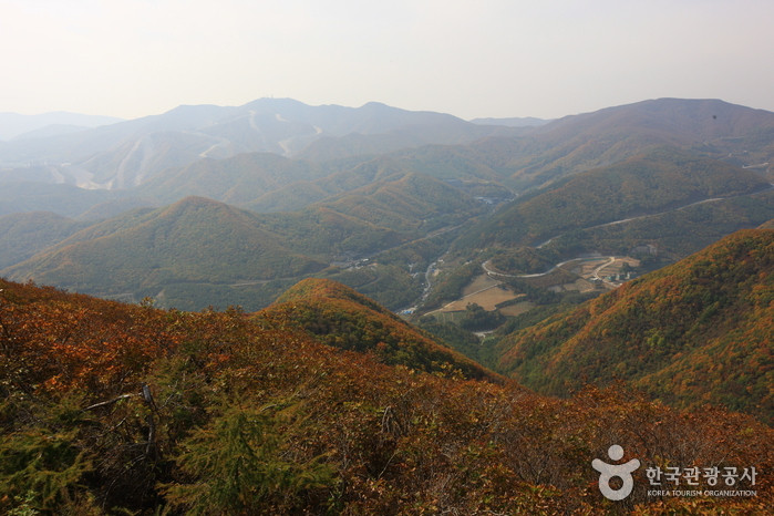 매봉산 여행 추천 - 로드트립
