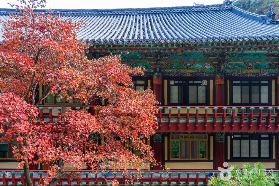 구인사(단양) 여행 추천 - 로드트립