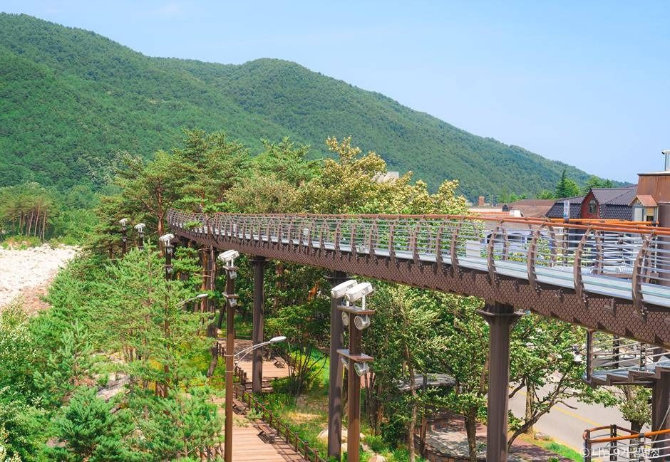설악향기로 여행 추천 - 로드트립