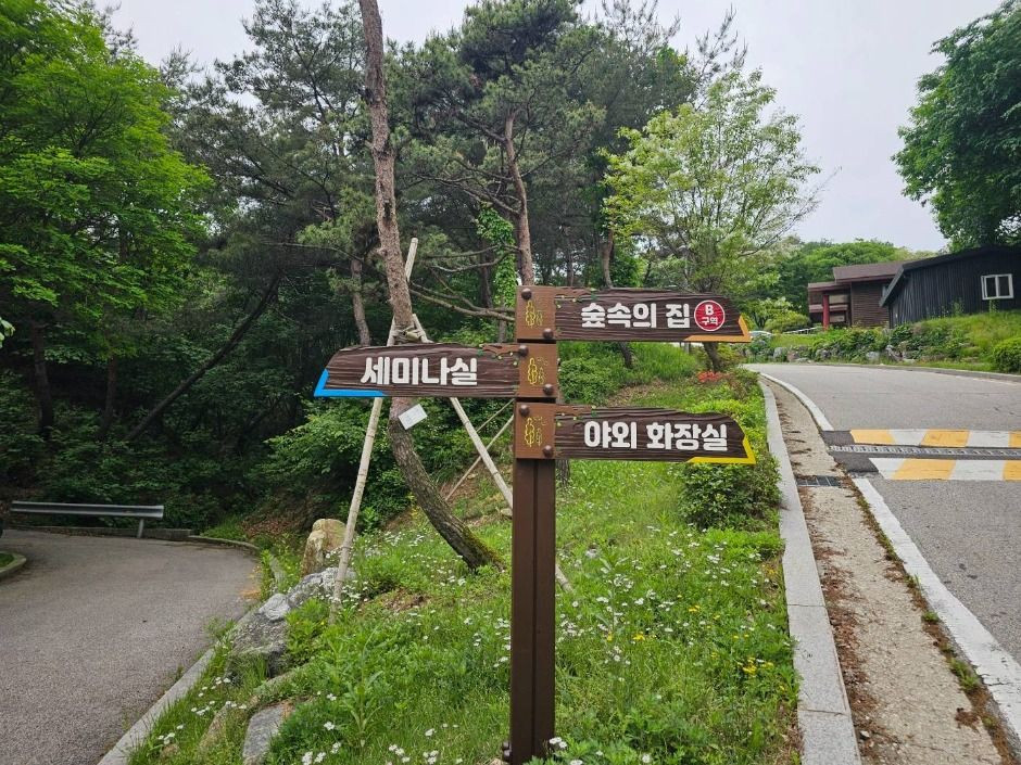 천보산 자연휴양림 여행 추천 - 로드트립