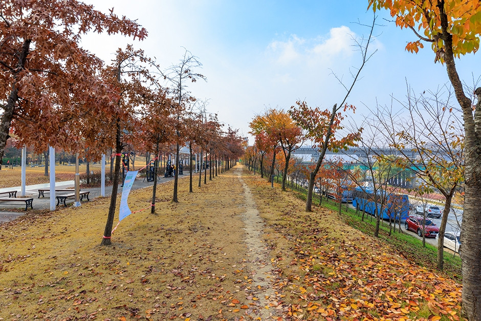 금강로하스산호빛공원 여행 추천 - 로드트립