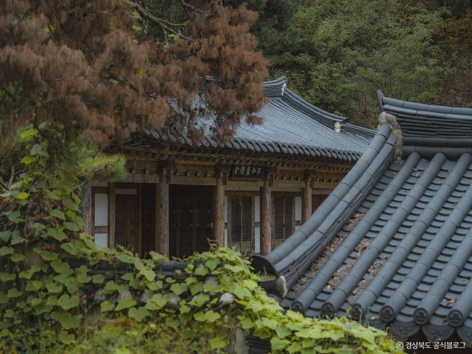 동락서원 여행 추천 - 로드트립