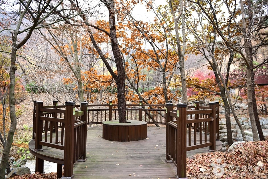 흑석산 자연휴양림 여행 추천 - 로드트립