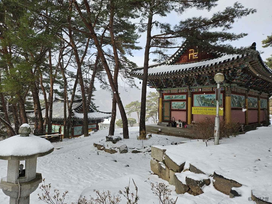 개덕사 여행 추천 - 로드트립