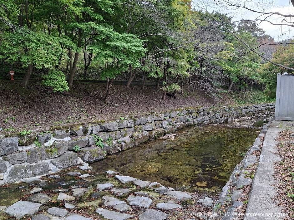 한천자연휴양림 여행 추천 - 로드트립