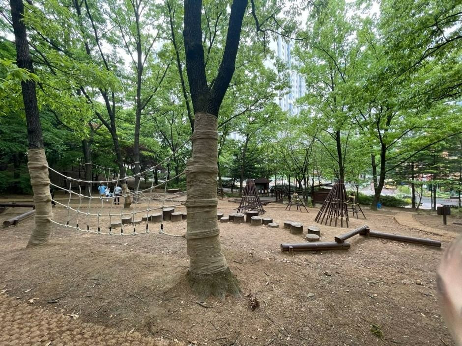 오목문화 유아숲체험원 여행 추천 - 로드트립