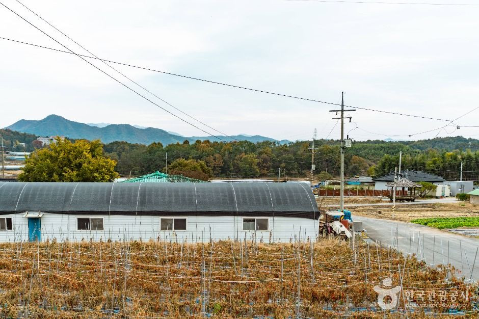논산 황산벌참살이마을 여행 추천 - 로드트립
