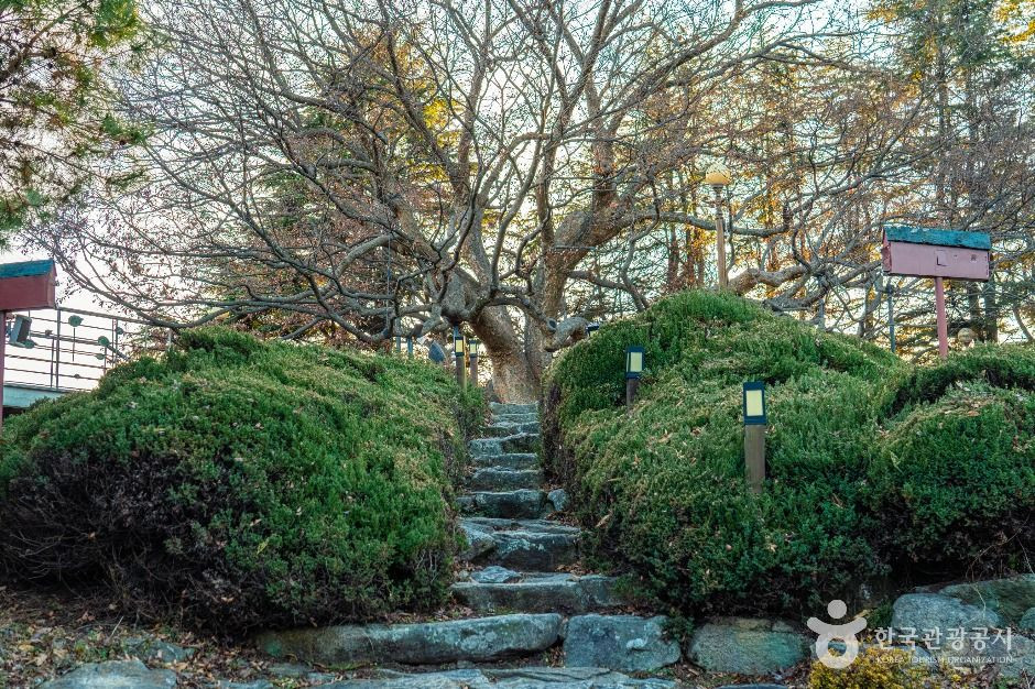 현풍 500년 느티나무 테마공원 여행 추천 - 로드트립