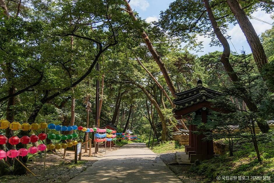 팔공산국립공원(은해사지구) 여행 추천 - 로드트립