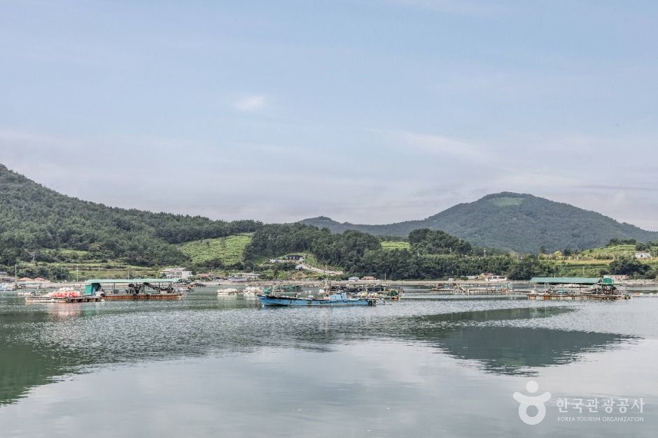 장포항 여행 추천 - 로드트립