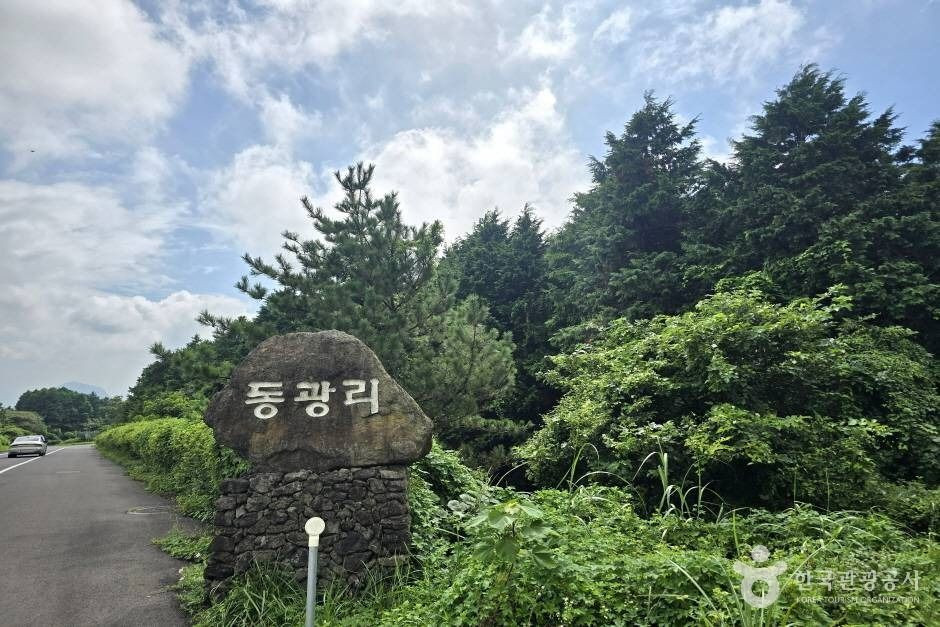 감낭오름 여행 추천 - 로드트립