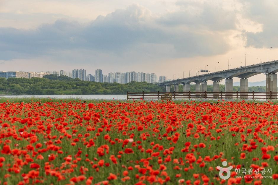 남양주한강공원(삼패지구) 여행 추천 - 로드트립