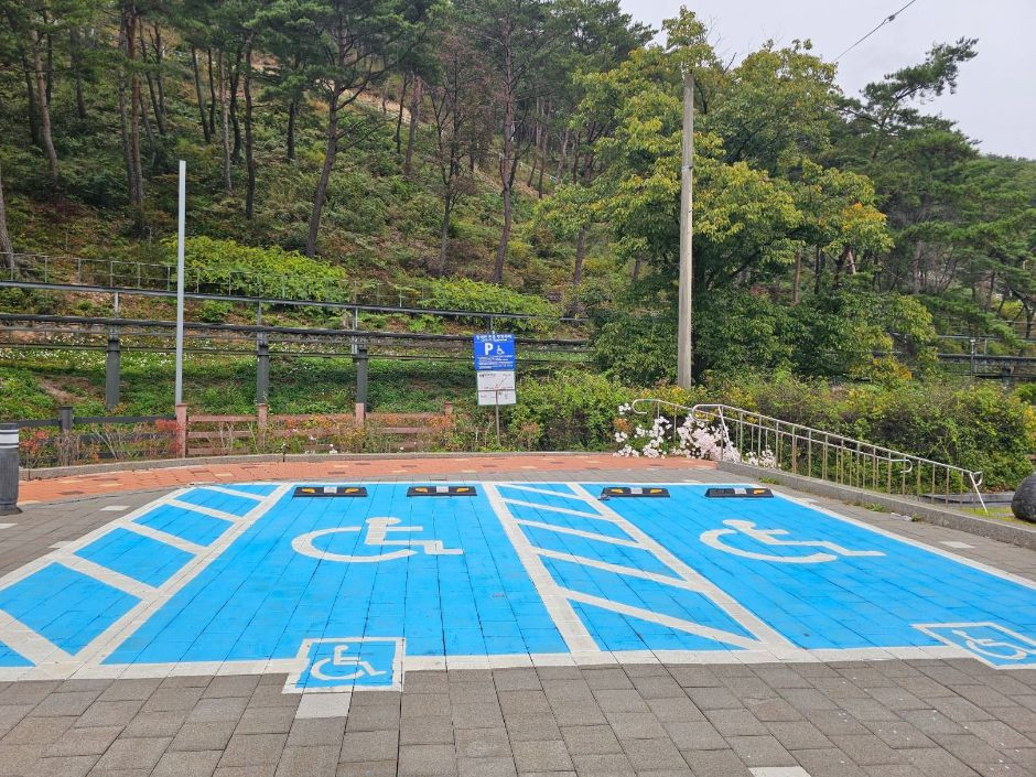 속리산테마파크모노레일 여행 추천 - 로드트립