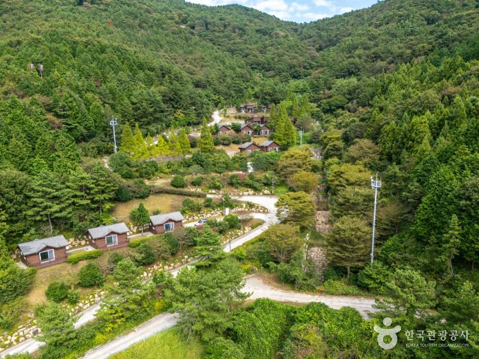 봉황산자연휴양림 여행 추천 - 로드트립