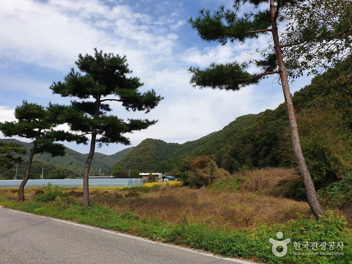 양평 마들가리마을 여행 추천 - 로드트립