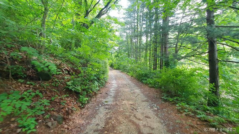 석룡산 여행 추천 - 로드트립