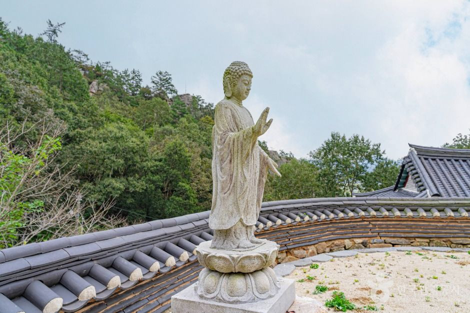 금곡사(강진) 여행 추천 - 로드트립