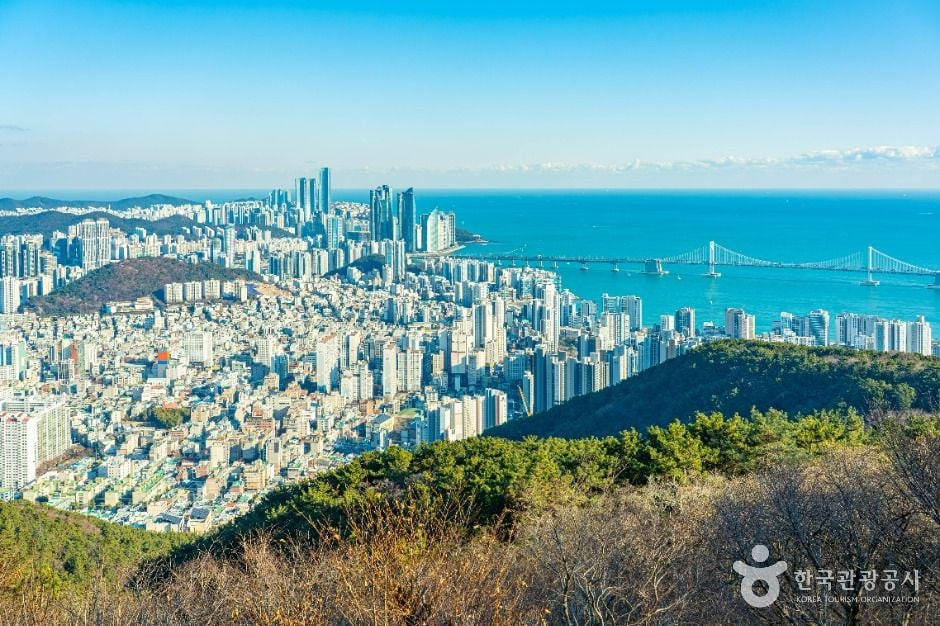 금련산 여행 추천 - 로드트립