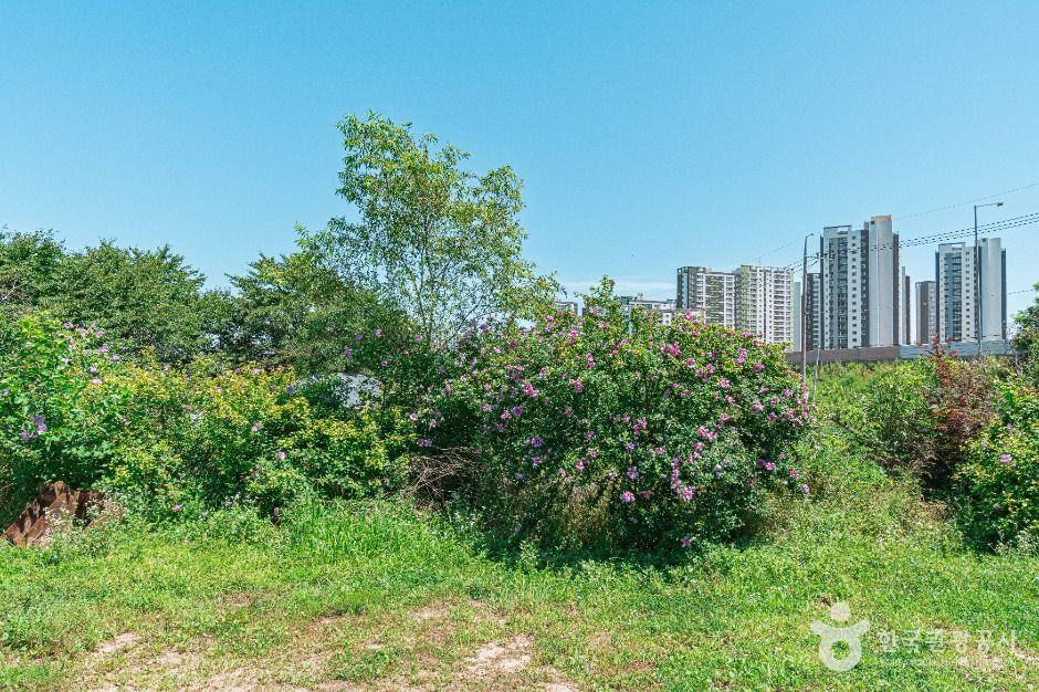 무궁화동산 여행 추천 - 로드트립