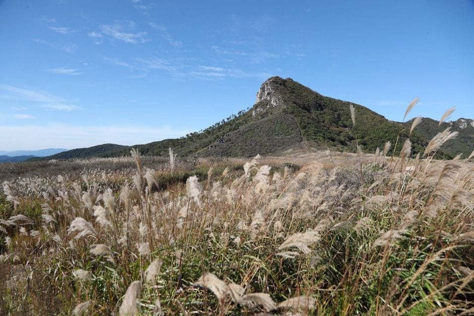 황매산(산청) 여행 추천 - 로드트립