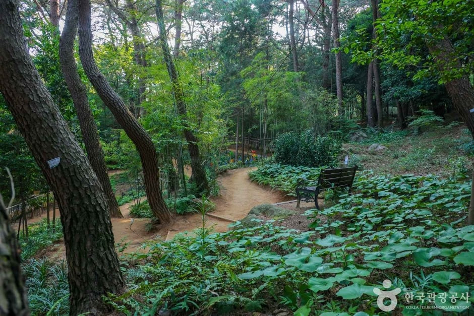 금강공원 여행 추천 - 로드트립